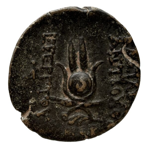 Seleucid Coins (part 2) 2067.19, реверс, bnf-hrc