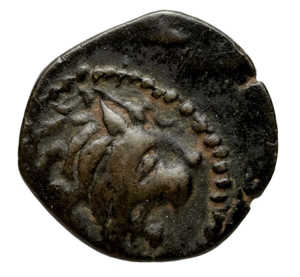 реверс Seleucid Coins (part 2) 2068.9