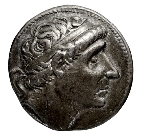 Seleucid Coins (part 1) 379.6a, аверс, bnf-hrc