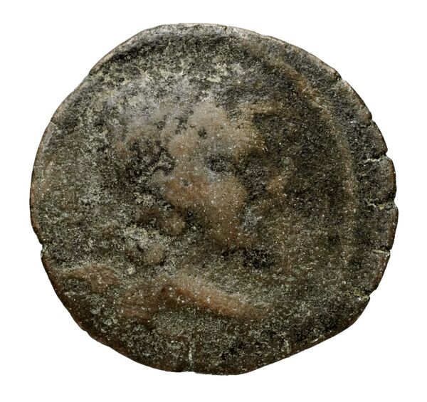 Seleucid Coins (part 2) 2067.21, аверс, bnf-hrc