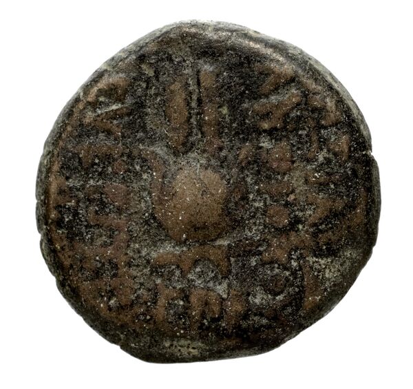 Seleucid Coins (part 2) 2067.21, реверс, bnf-hrc