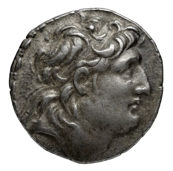 аверс Seleucid Coins (part 2) 2061.4g