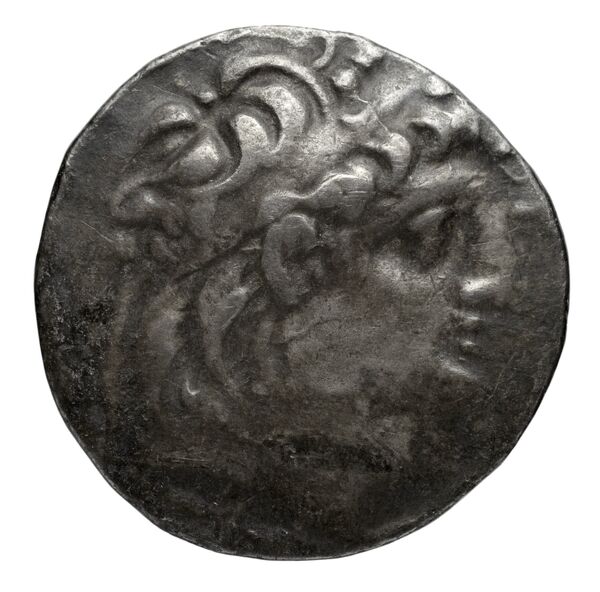 Seleucid Coins (part 2) 2150, аверс, bnf-hrc