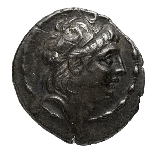 аверс Seleucid Coins (part 2) 2062.2d