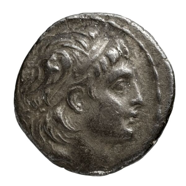 аверс Seleucid Coins (part 2) 2062.3e