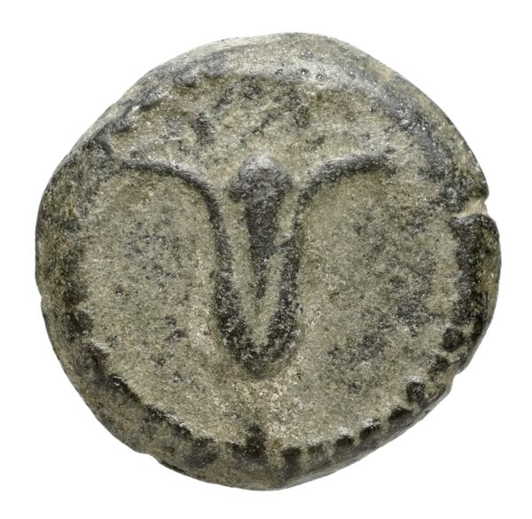obverse Seleucid Coins (part 2) 2123.1