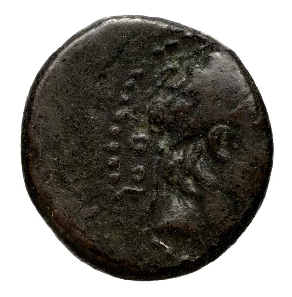 аверс Seleucid Coins (part 2) 2104