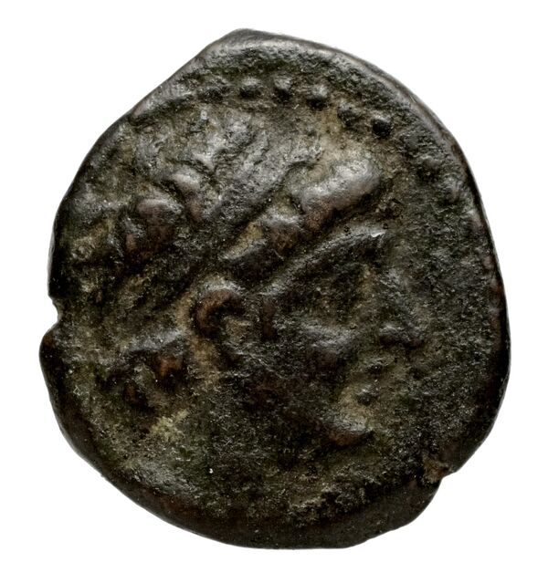 Seleucid Coins (part 2) 2104, аверс, bnf-hrc