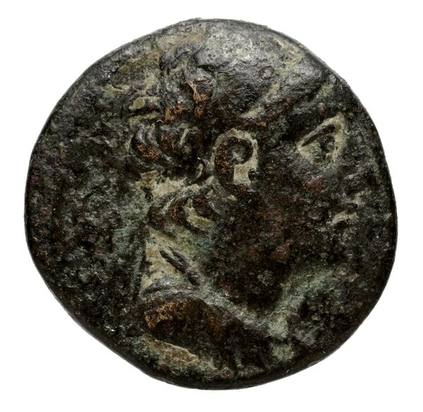 obverse Seleucid Coins (part 2) 2105.2b