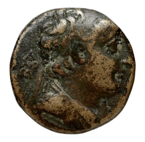 Seleucid Coins (part 2) 2105.2b, аверс, bnf-hrc