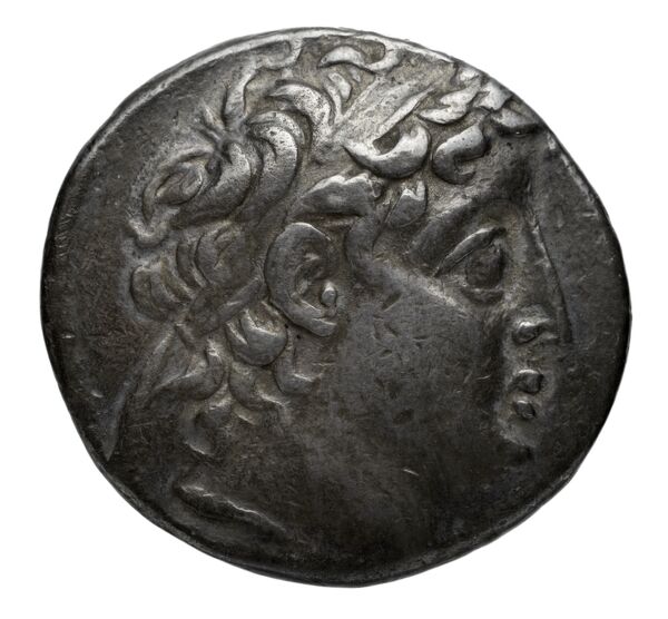 Seleucid Coins (part 2) 2195.1a, аверс, bnf-hrc