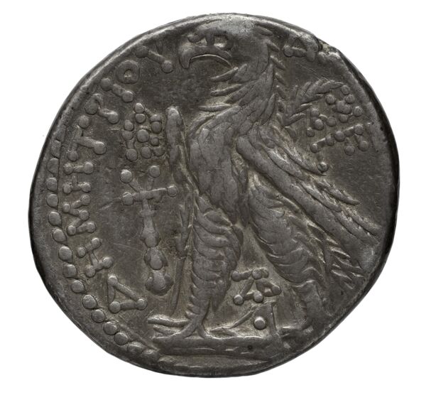 Seleucid Coins (part 2) 2195.1a, реверс, bnf-hrc