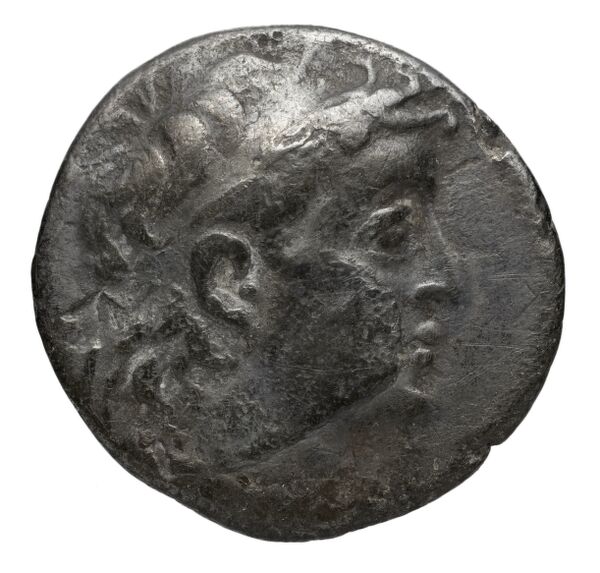 аверс Seleucid Coins (part 2) 2196.1a