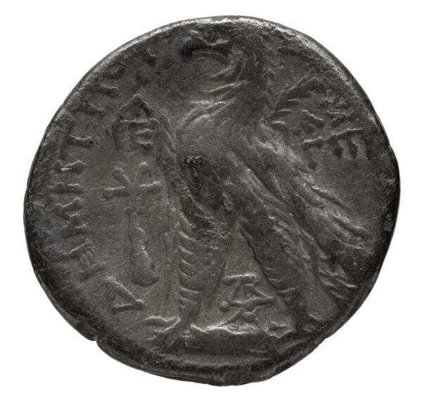 реверс Seleucid Coins (part 2) 2196.1a