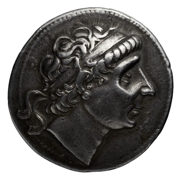 Seleucid Coins (part 1) 379.6, аверс, bnf-hrc