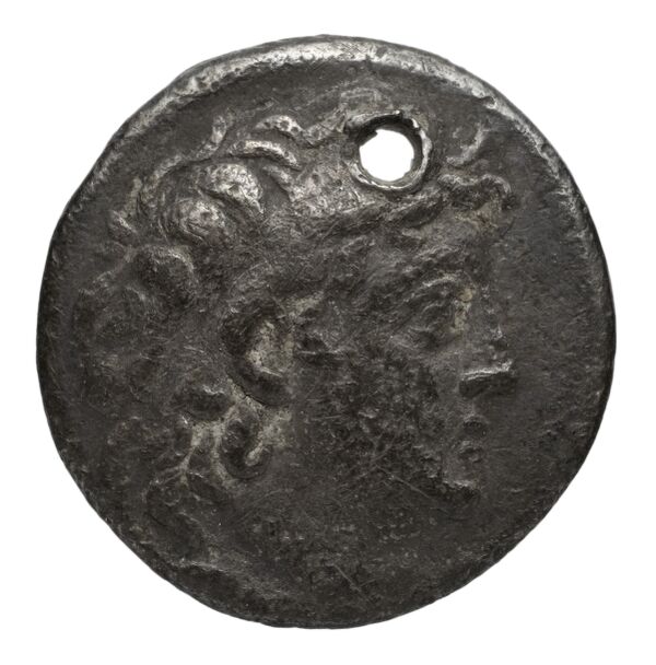 аверс Seleucid Coins (part 2) 2196.2c