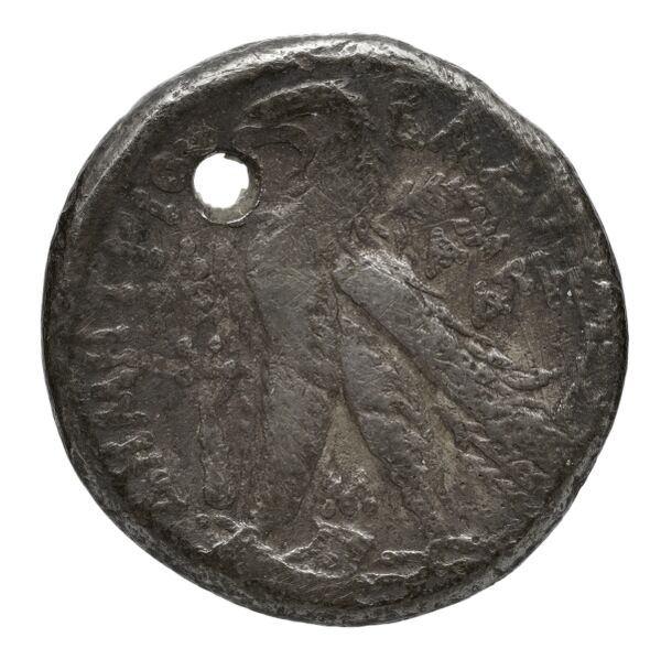 реверс Seleucid Coins (part 2) 2196.2c