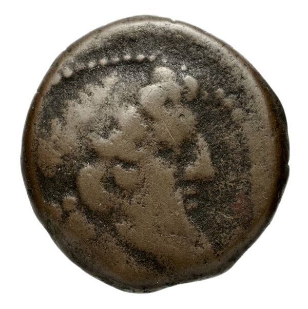 Seleucid Coins (part 2) 2183.1, аверс, bnf-hrc