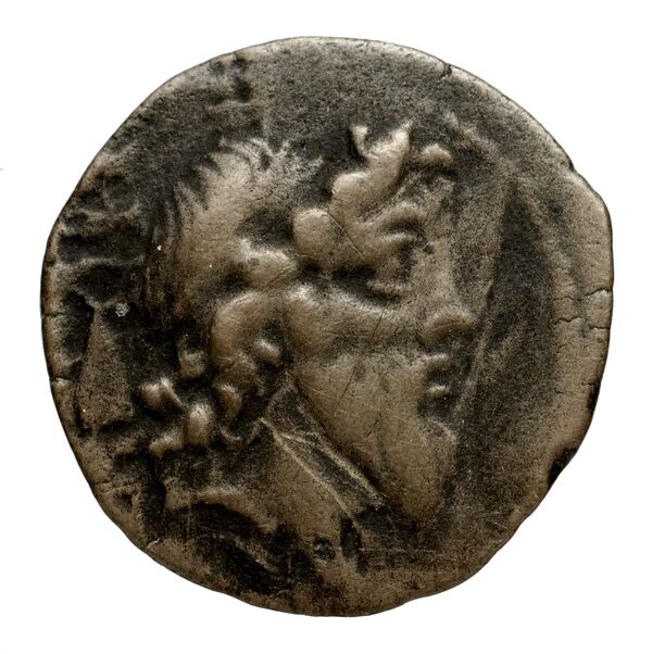 Seleucid Coins (part 2) 2183.1, аверс, bnf-hrc