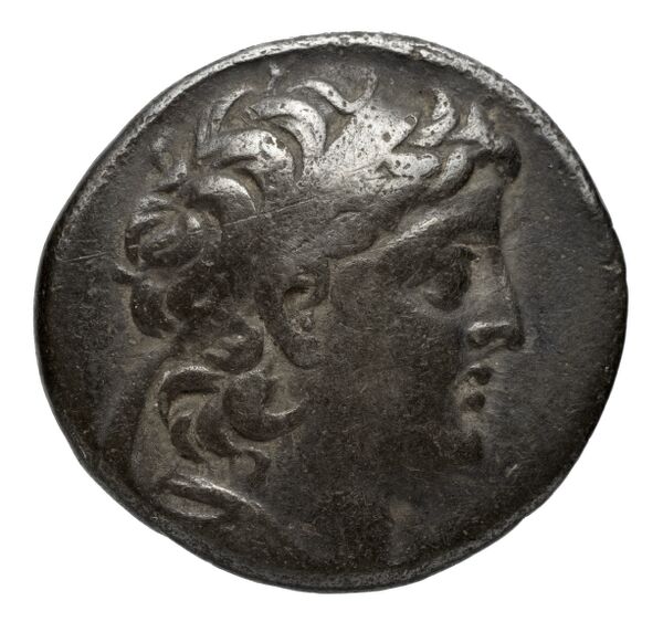 аверс Seleucid Coins (part 2) 2196.3b