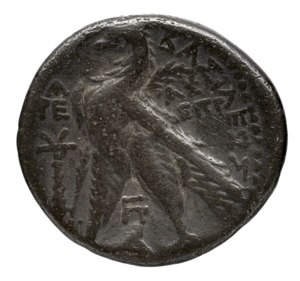 реверс Seleucid Coins (part 2) 2196.3b