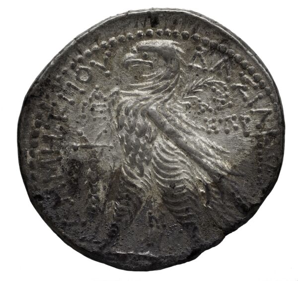 реверс Seleucid Coins (part 2) 2195.3c