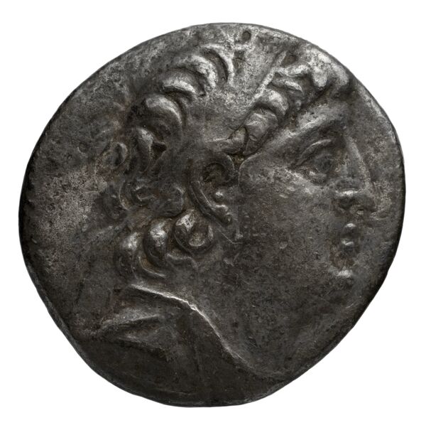 аверс Seleucid Coins (part 2) 2195.4b