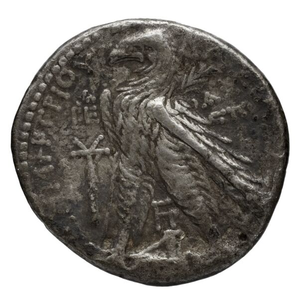 реверс Seleucid Coins (part 2) 2195.4b