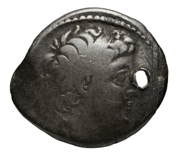 аверс Seleucid Coins (part 2) 2196.4b