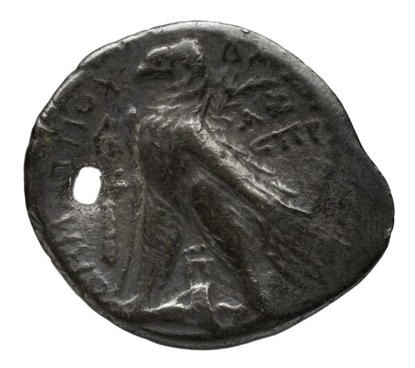 реверс Seleucid Coins (part 2) 2196.4b