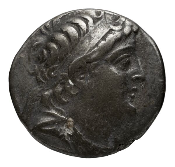 Seleucid Coins (part 2) 2195.5c, аверс, bnf-hrc