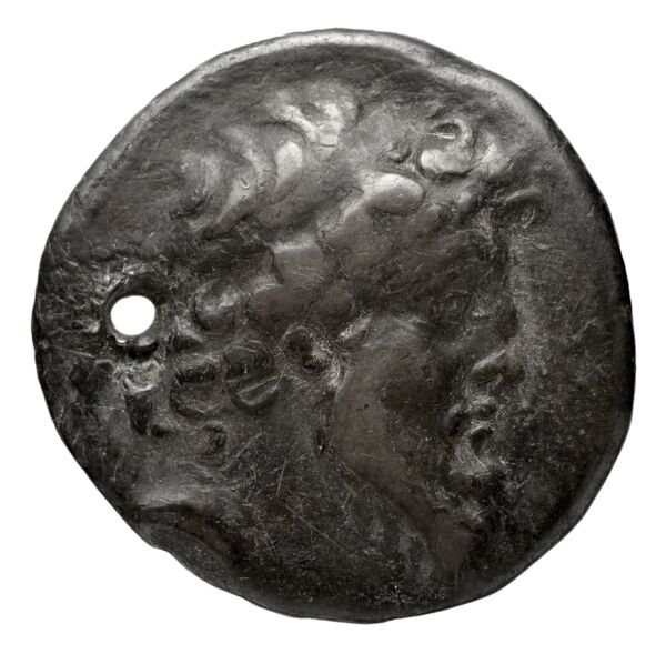 Seleucid Coins (part 2) 2181, аверс, bnf-hrc