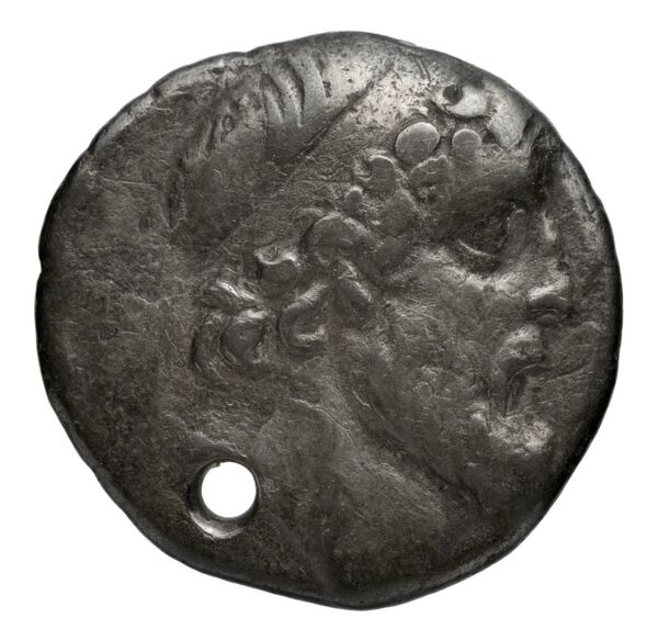 Seleucid Coins (part 2) 2179, аверс, bnf-hrc