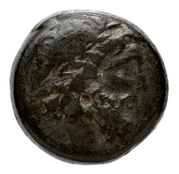 аверс Seleucid Coins (part 2) 1919.6d