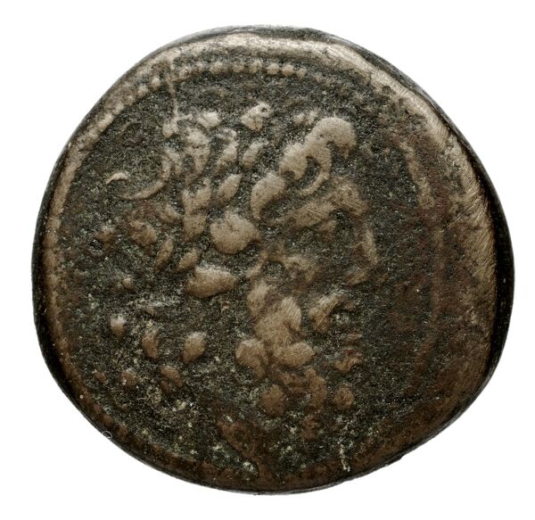 аверс Seleucid Coins (part 2) 1912.1d