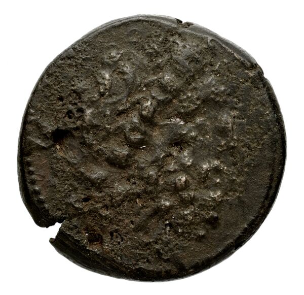 Seleucid Coins (part 2) 1912.1d, аверс, bnf-hrc