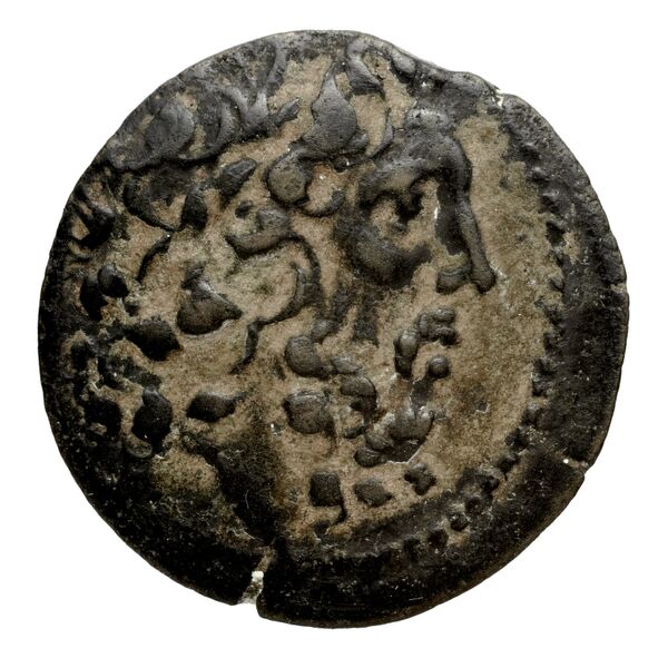 аверс Seleucid Coins (part 2) 1912.1b