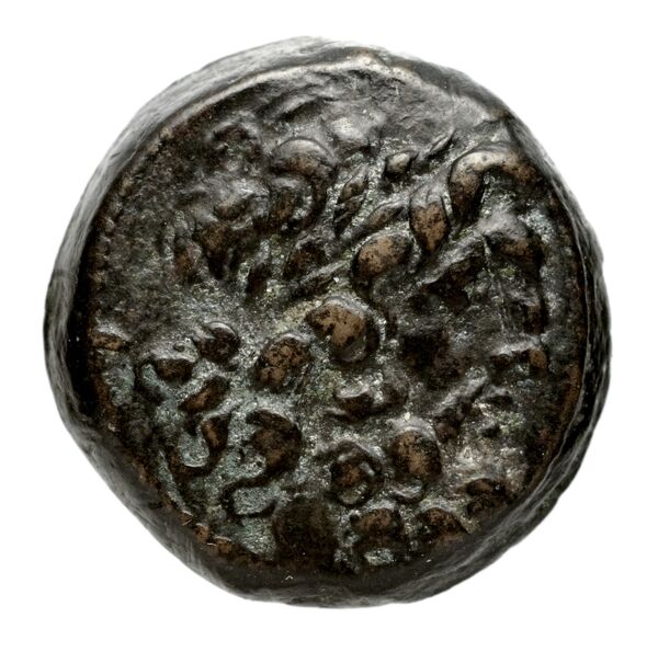 аверс Seleucid Coins (part 2) 2170.1b