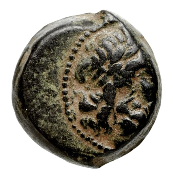 Seleucid Coins (part 2) 2170.1b, аверс, bnf-hrc