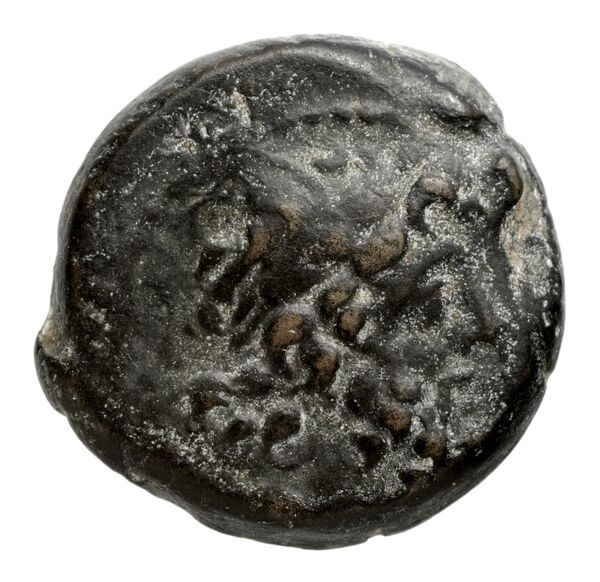 аверс Seleucid Coins (part 2) 2170.1d