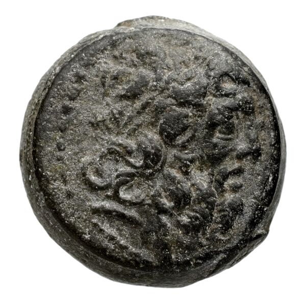 Seleucid Coins (part 2) 2170.1d, аверс, bnf-hrc