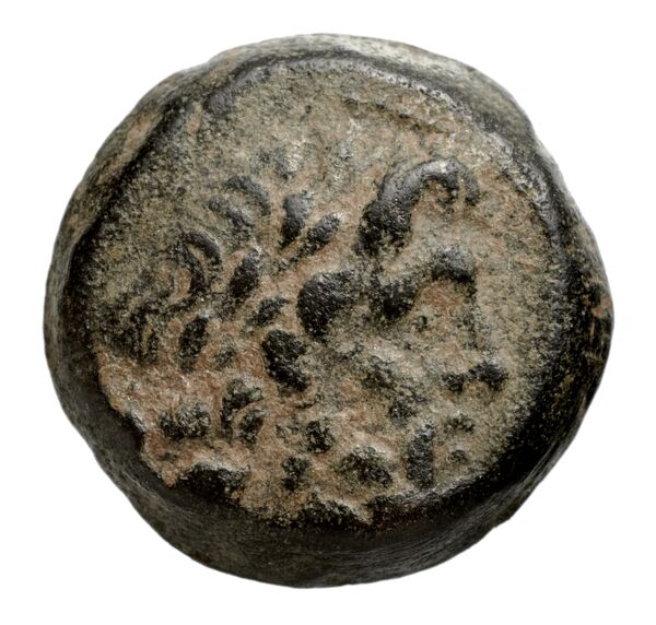 Seleucid Coins (part 2) 2170.1, аверс, bnf-hrc