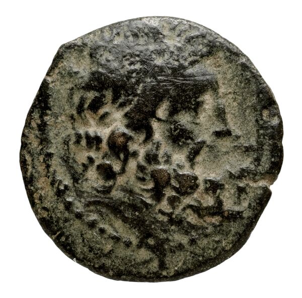 Seleucid Coins (part 2) 2170.1, аверс, bnf-hrc