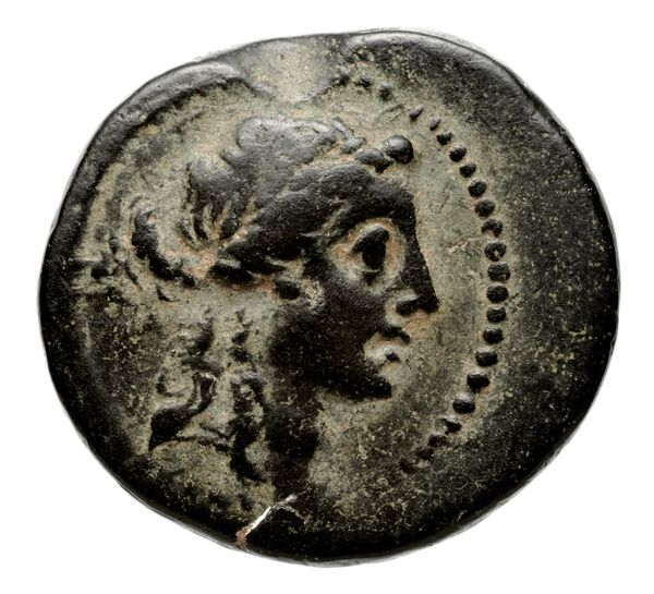 аверс Seleucid Coins (part 2) 1913.1a