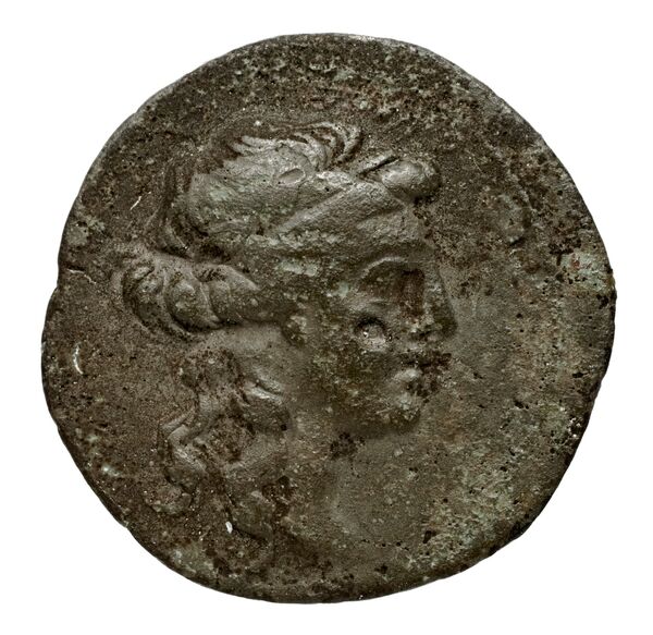 аверс Seleucid Coins (part 2) 1913.1c