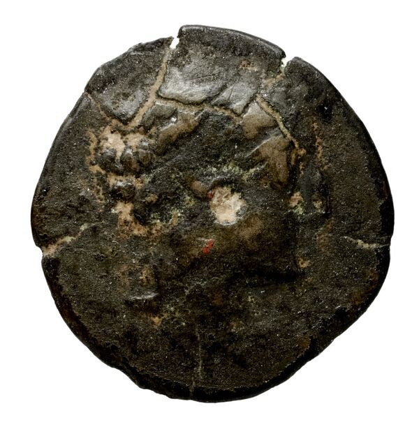 аверс Seleucid Coins (part 2) 1970.1