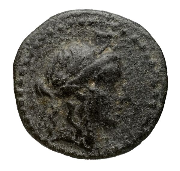 аверс Seleucid Coins (part 2) 1922.1b
