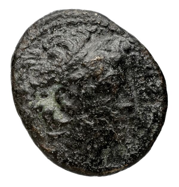 Seleucid Coins (part 2) 2186, аверс, bnf-hrc