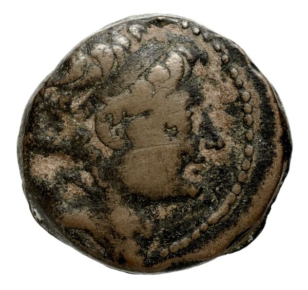 аверс Seleucid Coins (part 2) 2229.1b