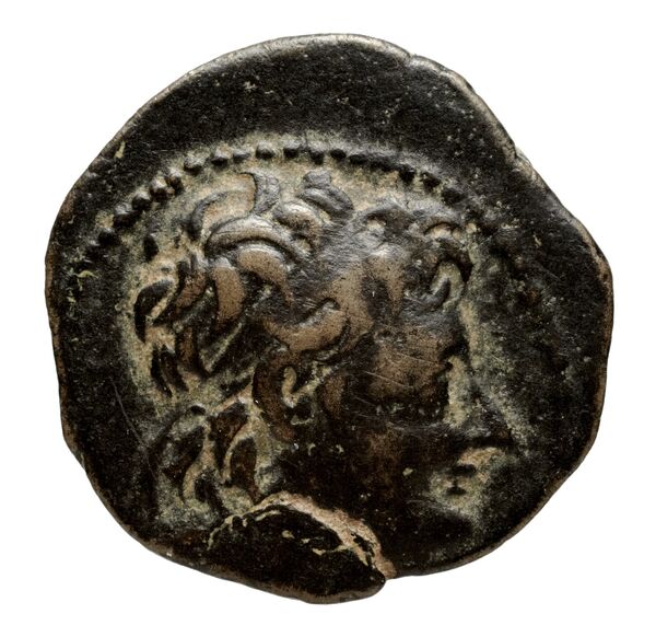 Seleucid Coins (part 2) 2229, аверс, bnf-hrc